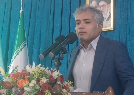 ۴۴ داوطلب در انتخابات شورای شهرهای شهرستان سیریک ثبت نام کرده‌اند