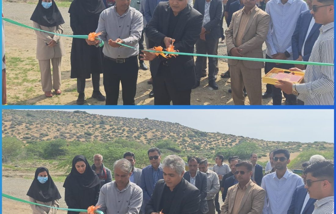طرح پرورش ماهی در قفس روستای زیارت افتتاح شد.
